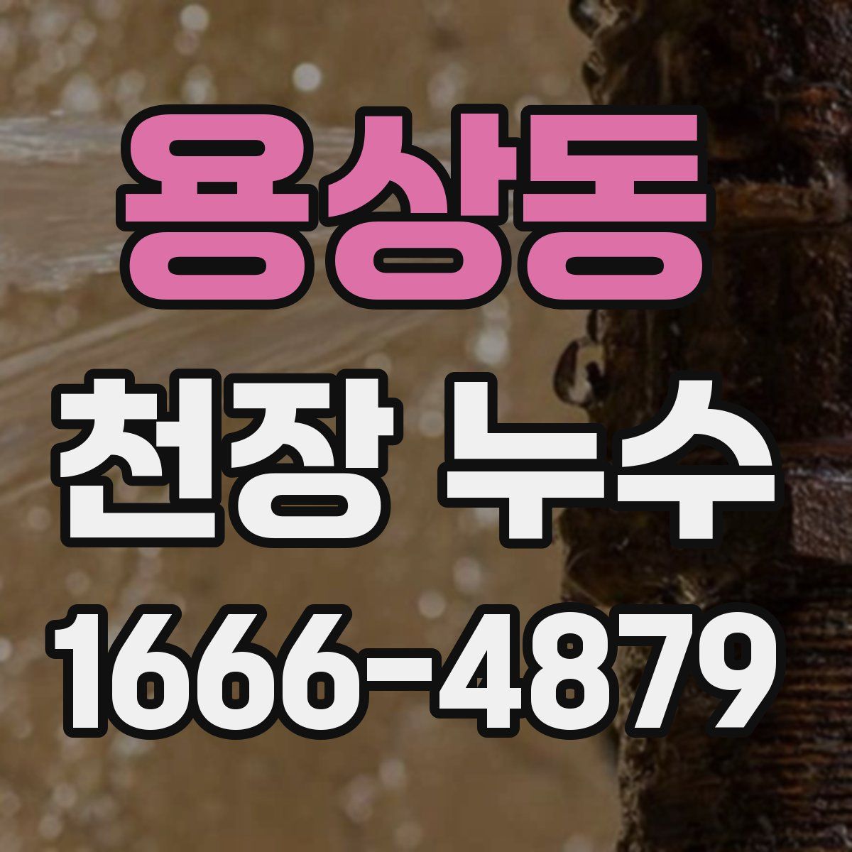 용상동 천장 누수