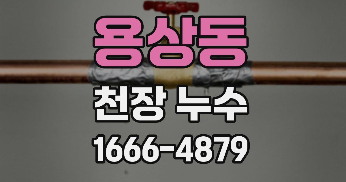 용상동 천장 누수