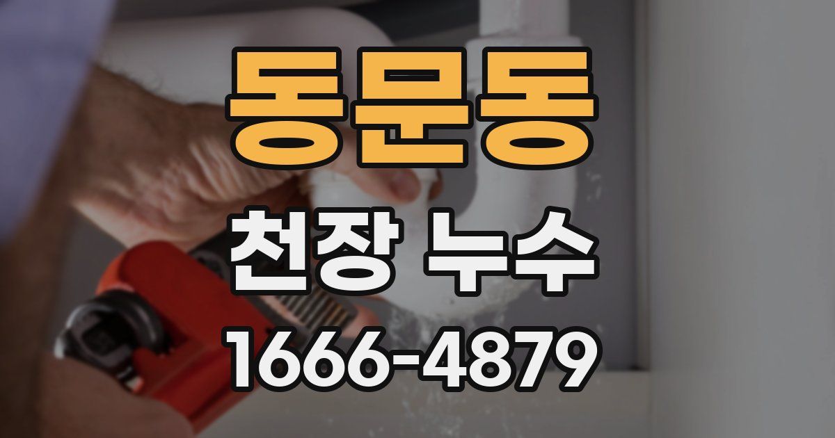 동문동 천장 누수