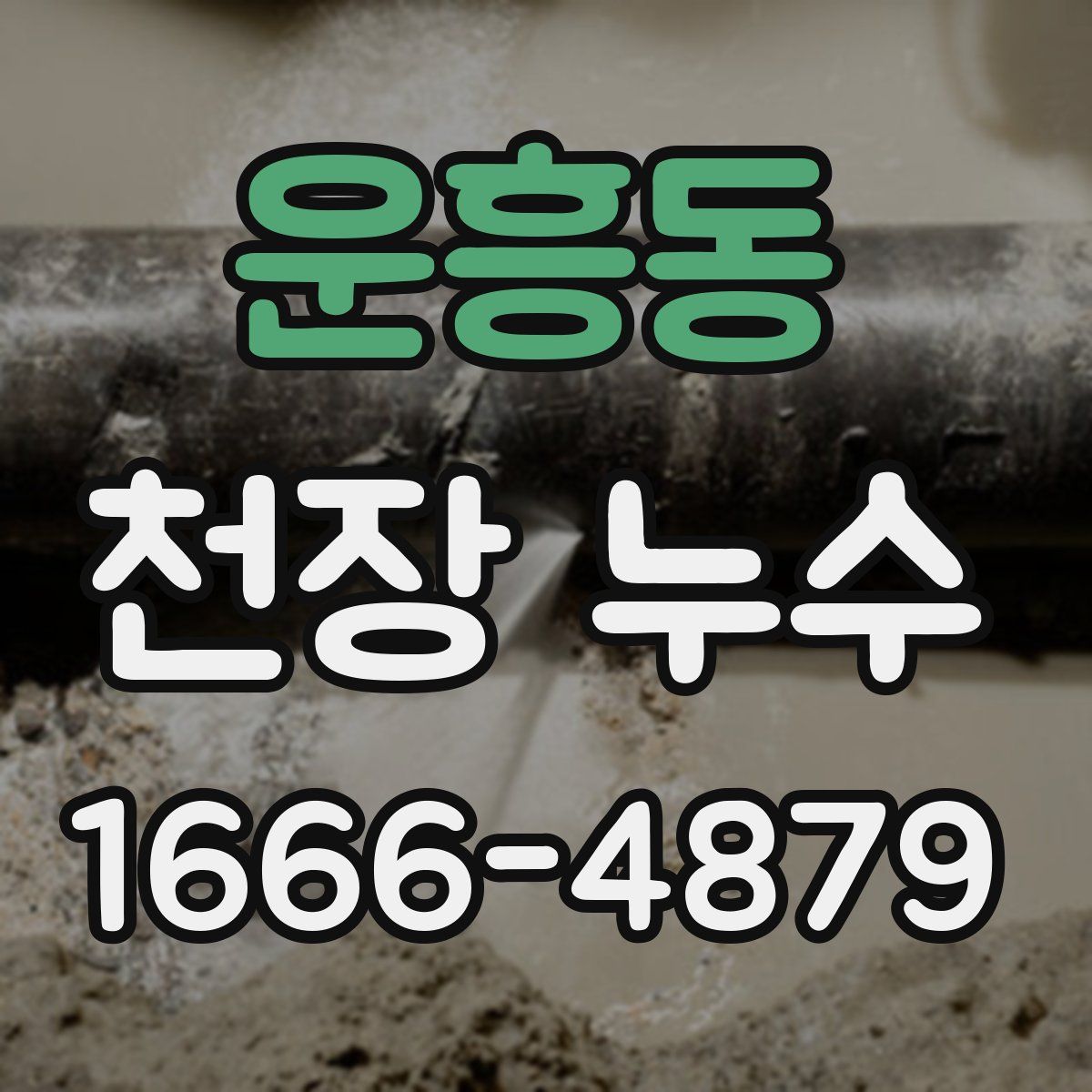 운흥동 천장 누수