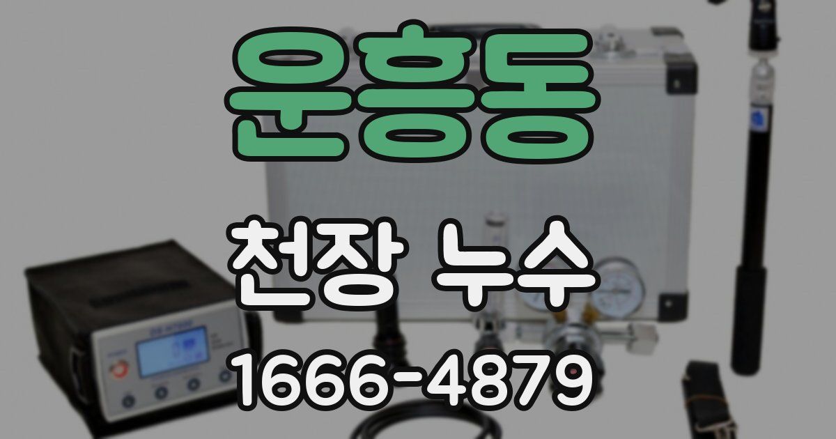 운흥동 천장 누수