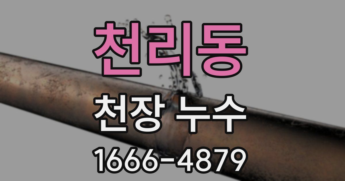 천리동 천장 누수