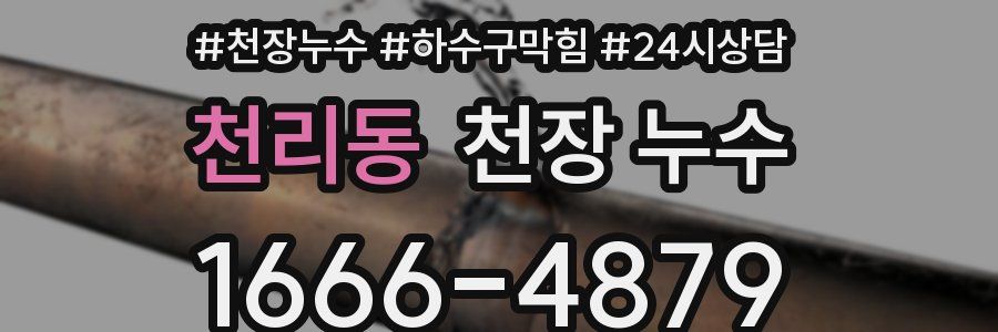 천리동 천장 누수