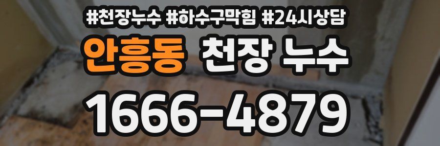 안흥동 천장 누수