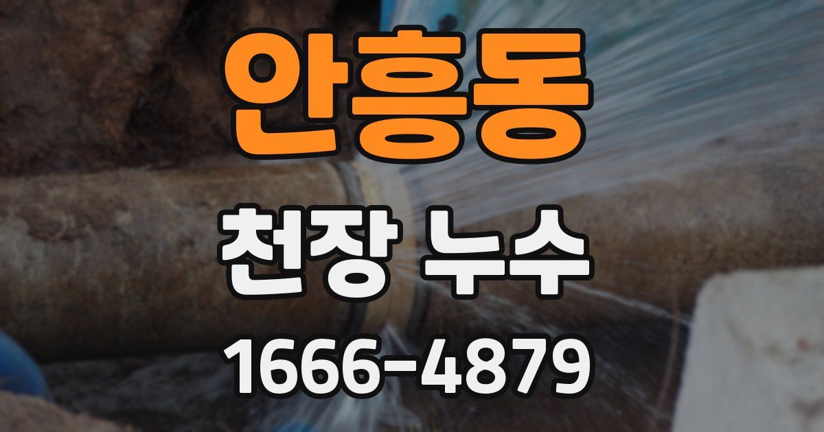 안흥동 천장 누수