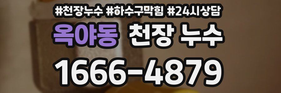 옥야동 천장 누수