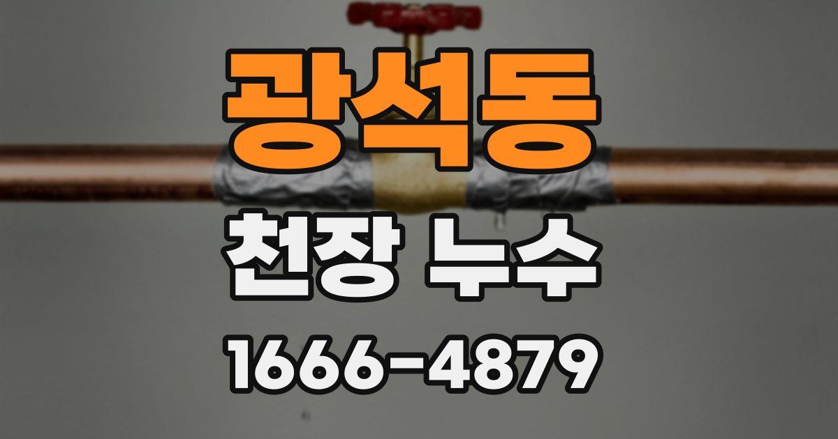 광석동 천장 누수