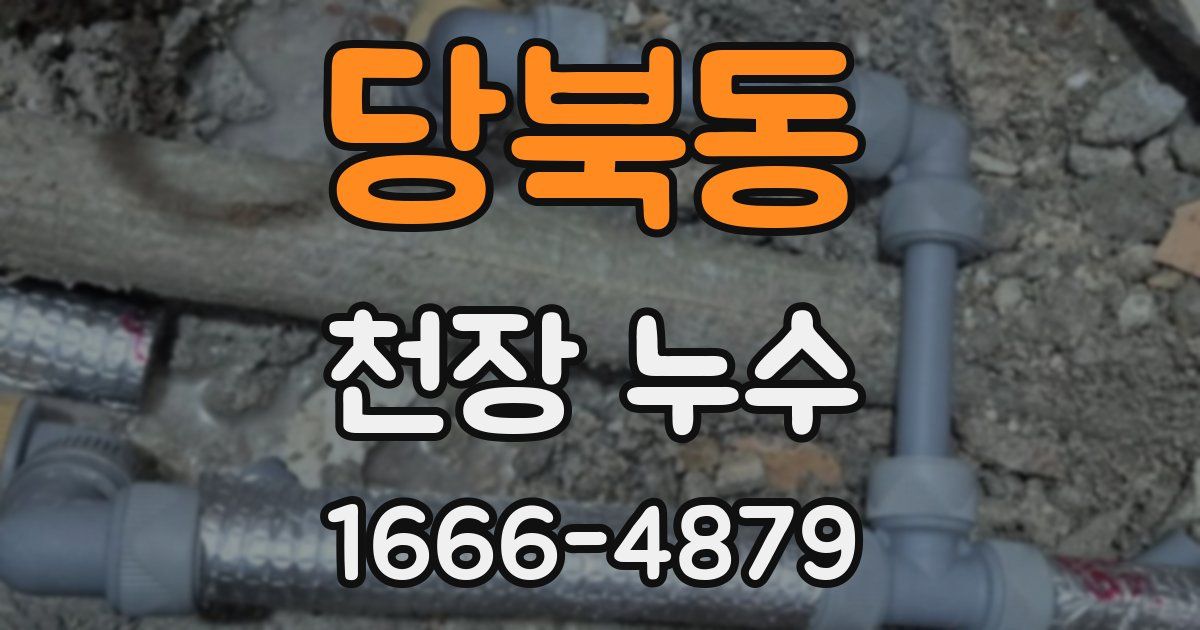 당북동 천장 누수