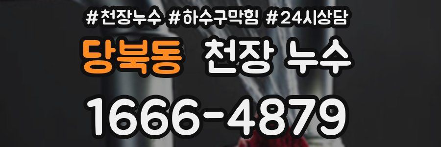 당북동 천장 누수