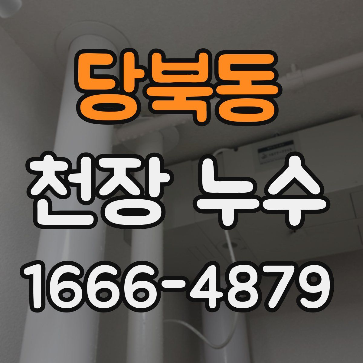 당북동 천장 누수