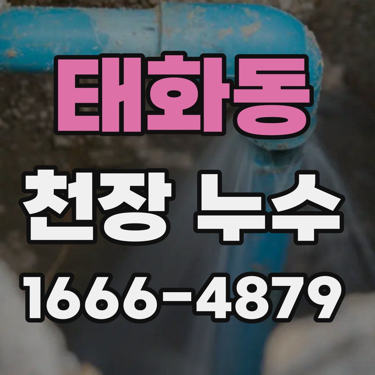 태화동 천장 누수