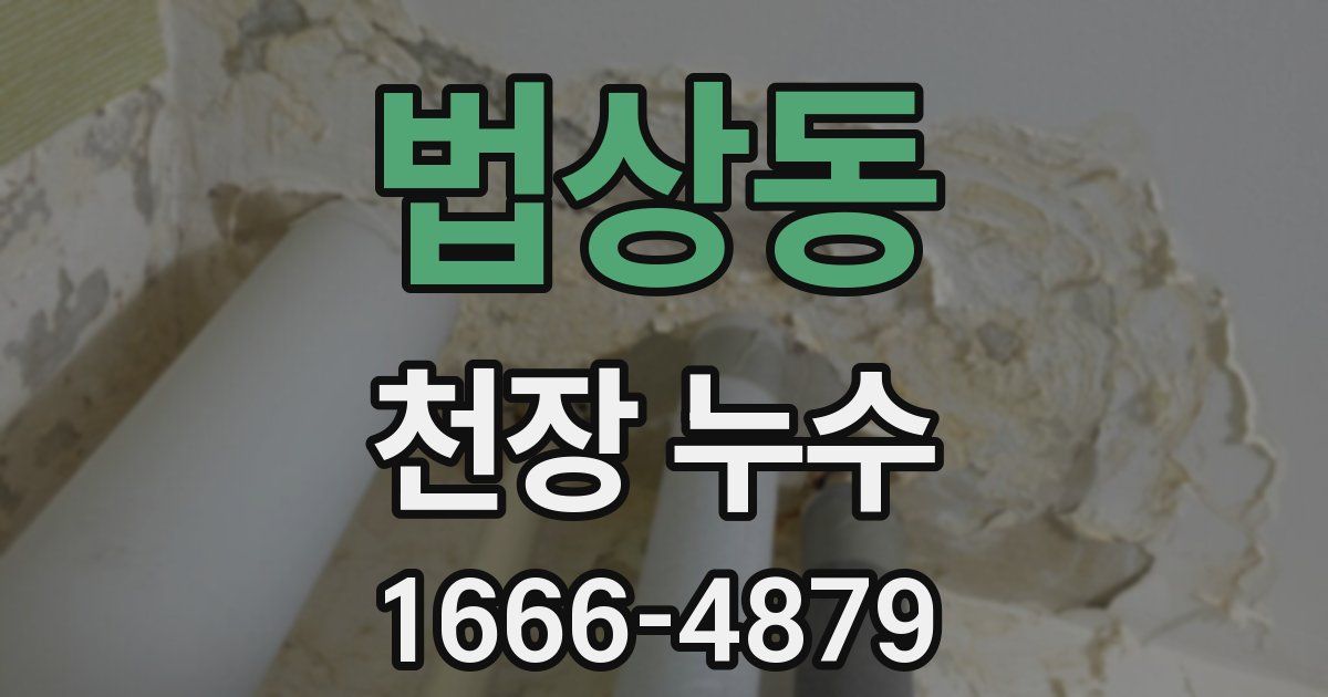 법상동 천장 누수