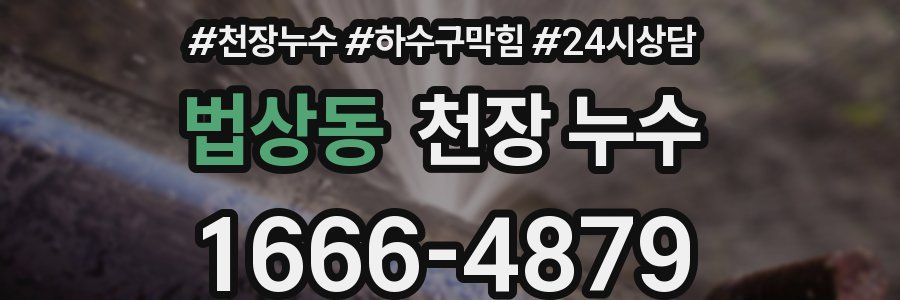 법상동 천장 누수