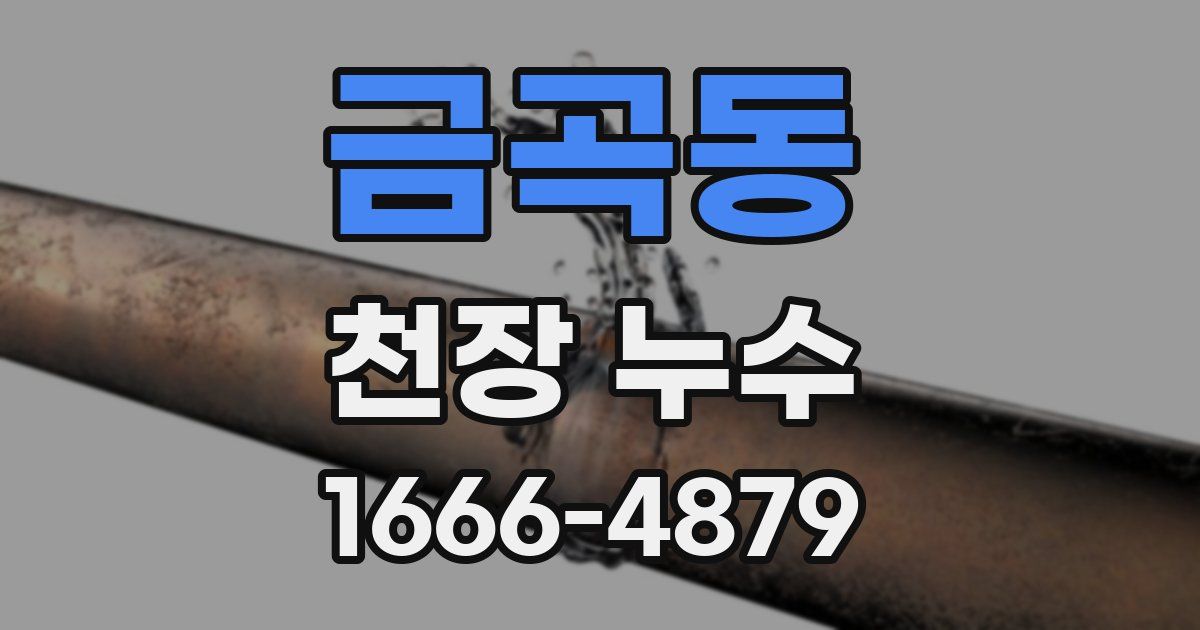 금곡동 천장 누수