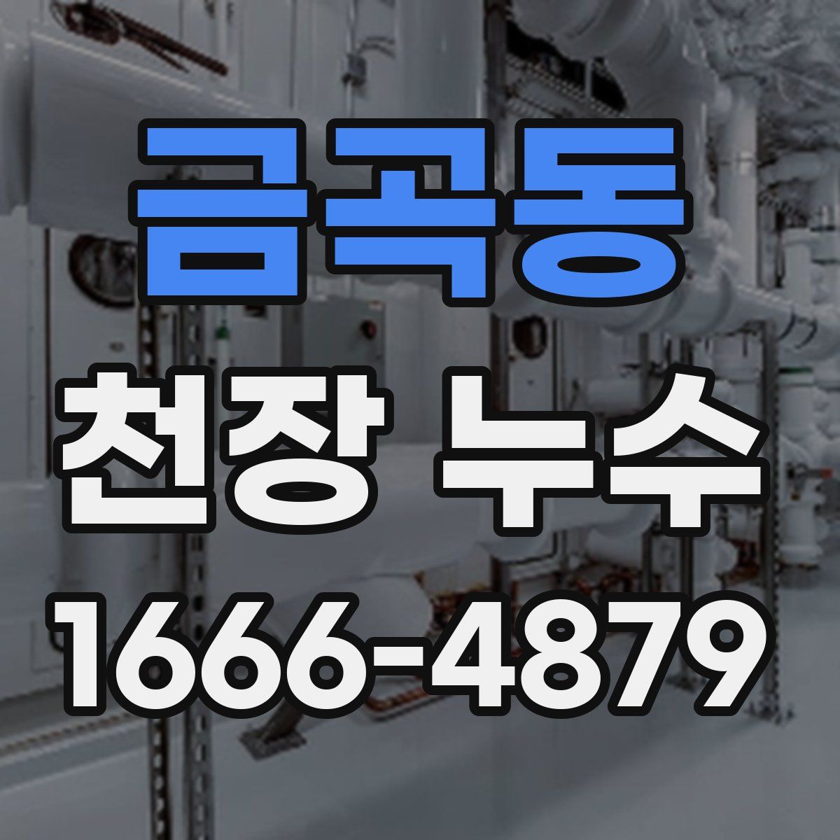 금곡동 천장 누수