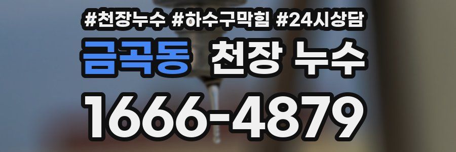 금곡동 천장 누수