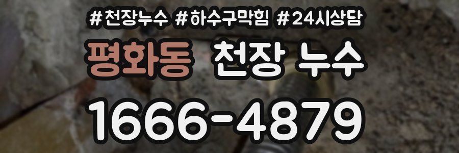 평화동 천장 누수