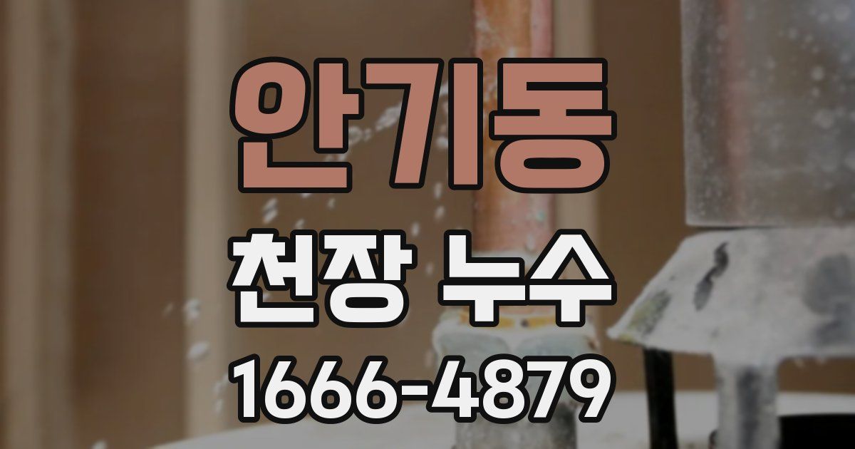 안기동 천장 누수