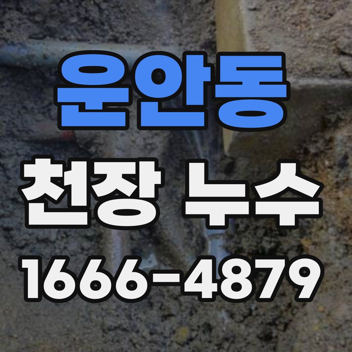 운안동 천장 누수