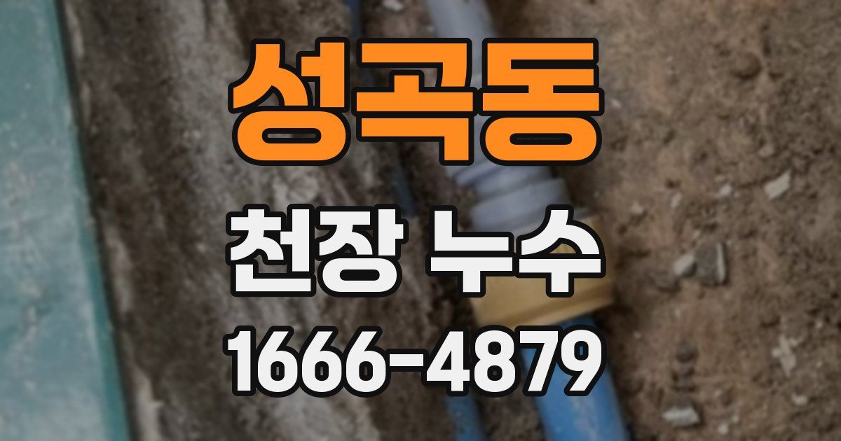 성곡동 천장 누수