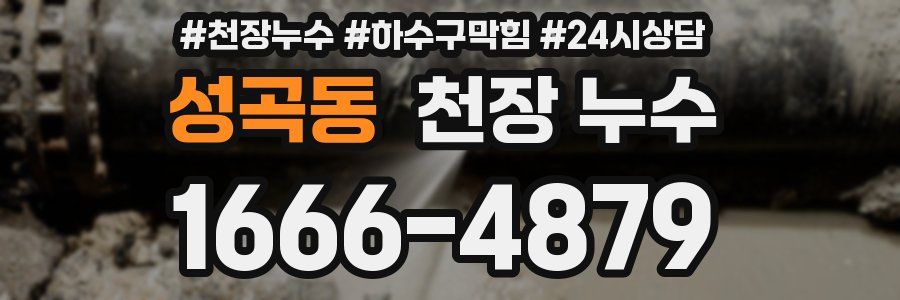 성곡동 천장 누수