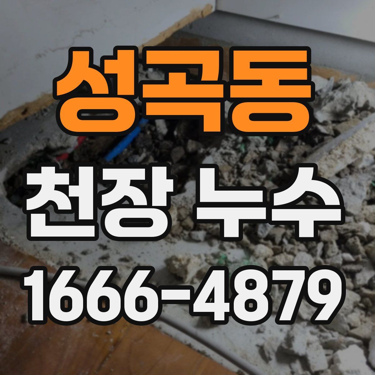 성곡동 천장 누수