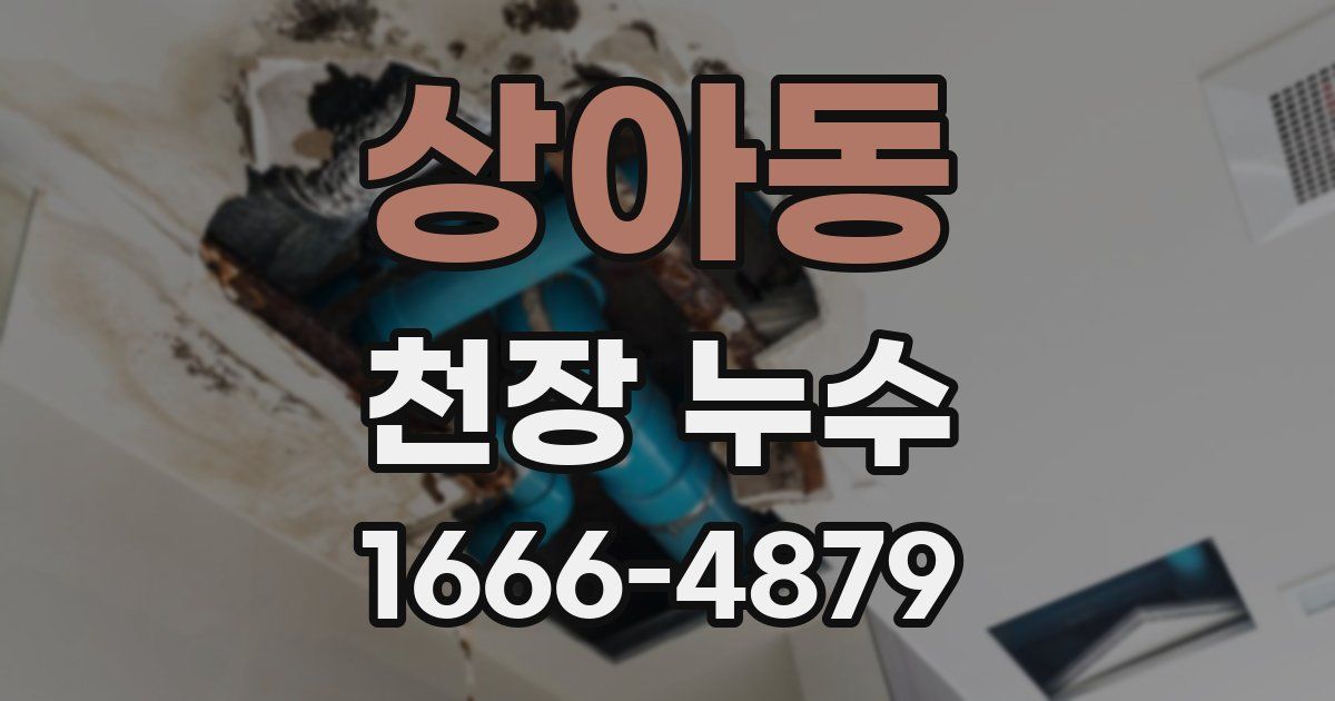 상아동 천장 누수