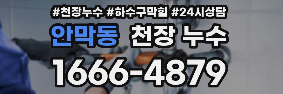 안막동 천장 누수