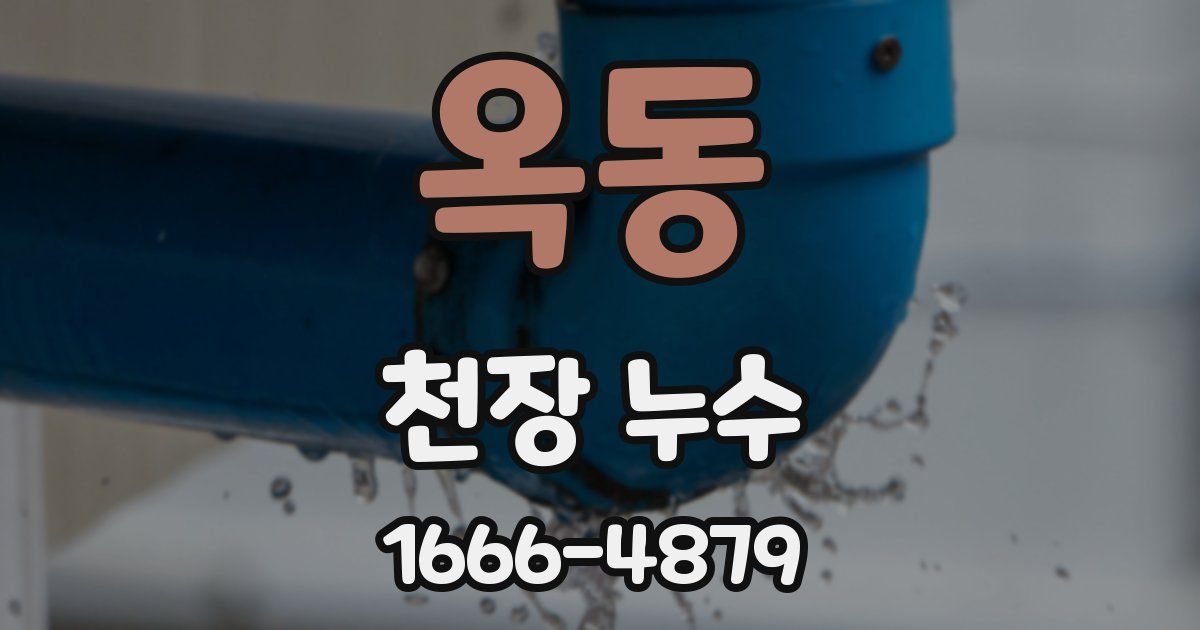 옥동 천장 누수