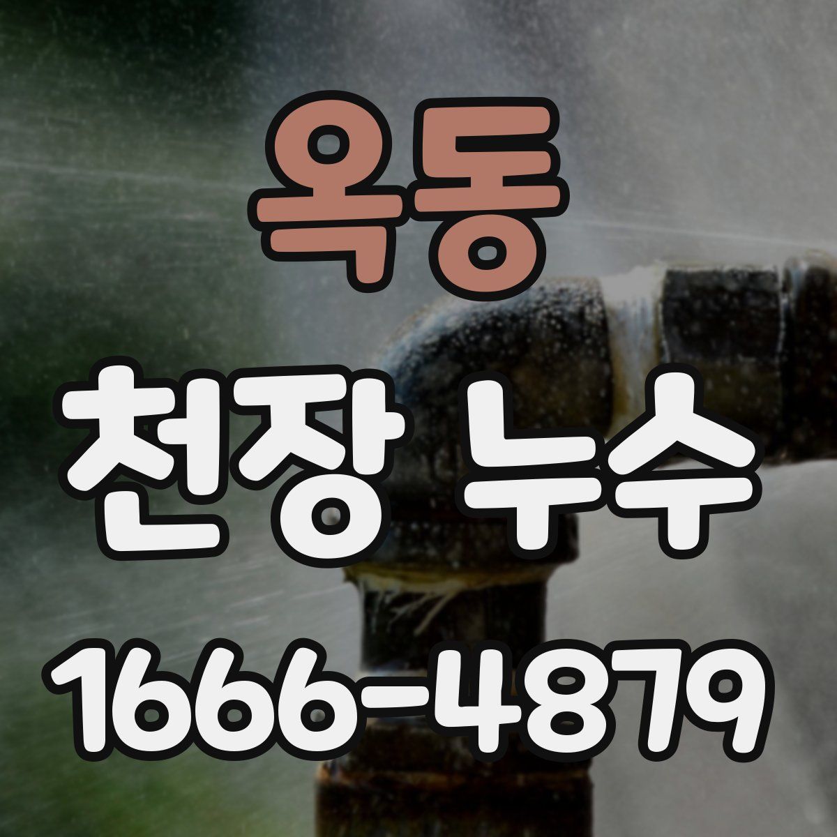 옥동 천장 누수