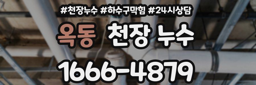 옥동 천장 누수