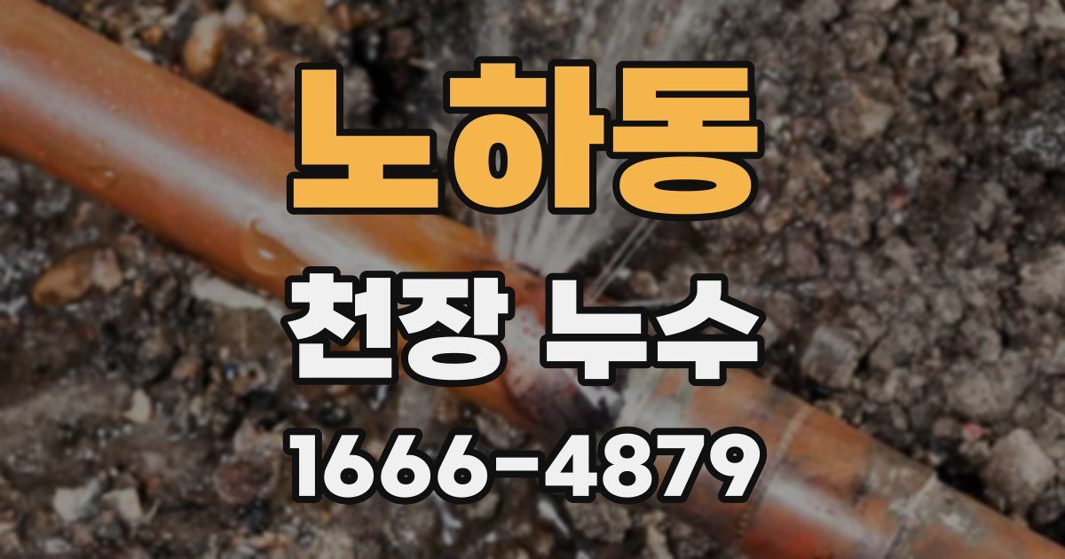 노하동 천장 누수