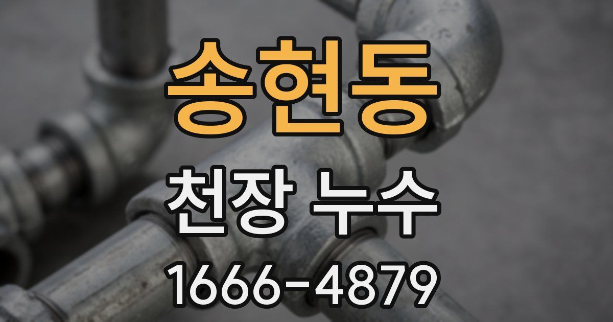 송현동 천장 누수