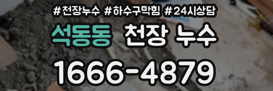 석동동 천장 누수