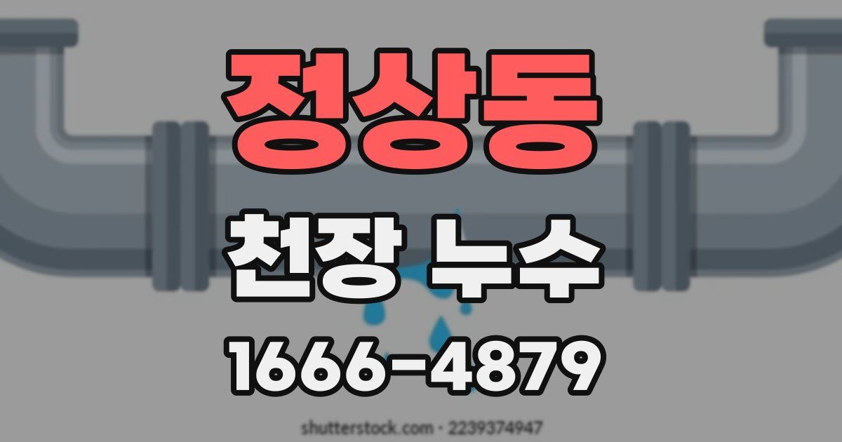 정상동 천장 누수