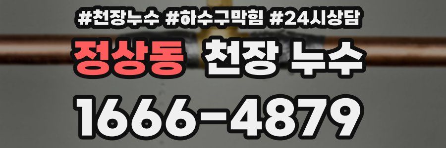 정상동 천장 누수