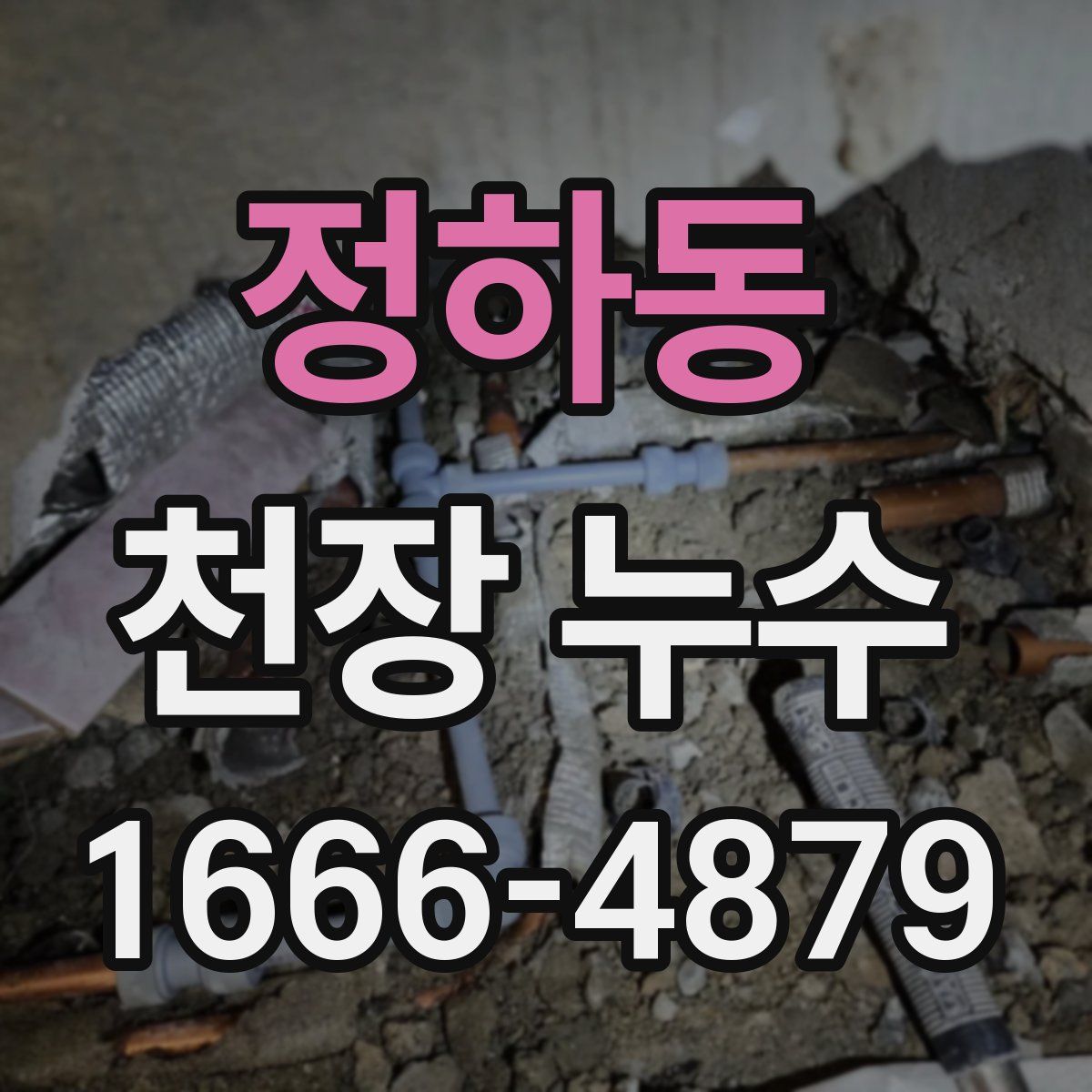 정하동 천장 누수