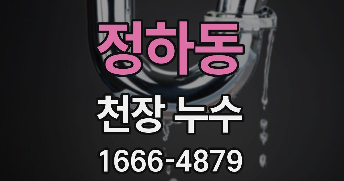 정하동 천장 누수