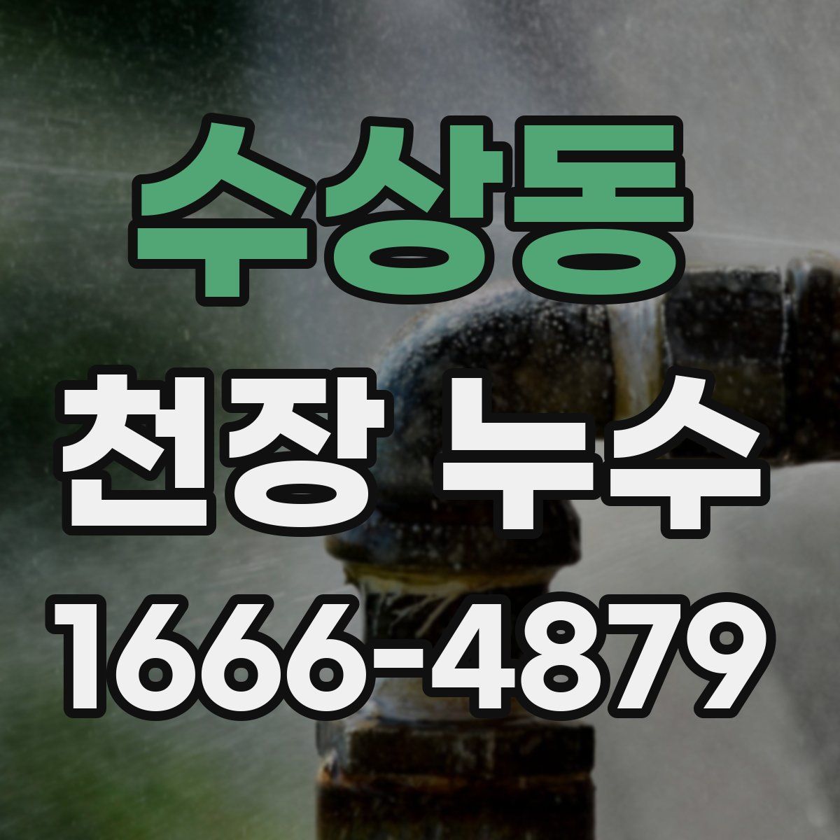 수상동 천장 누수