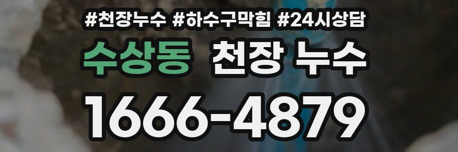 수상동 천장 누수