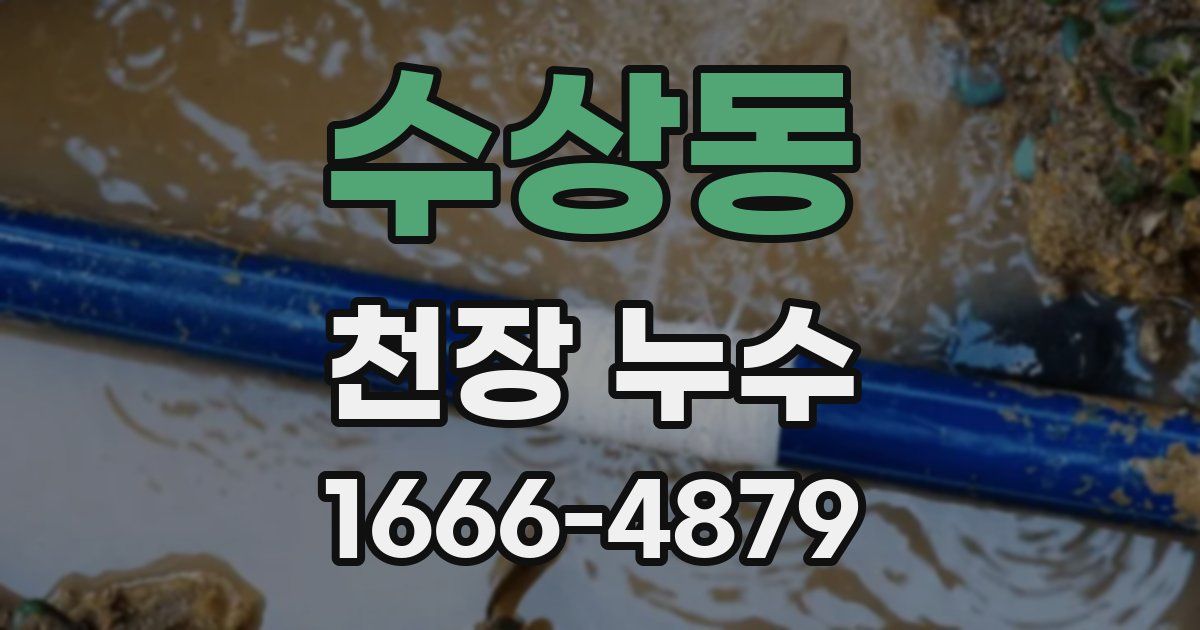 수상동 천장 누수