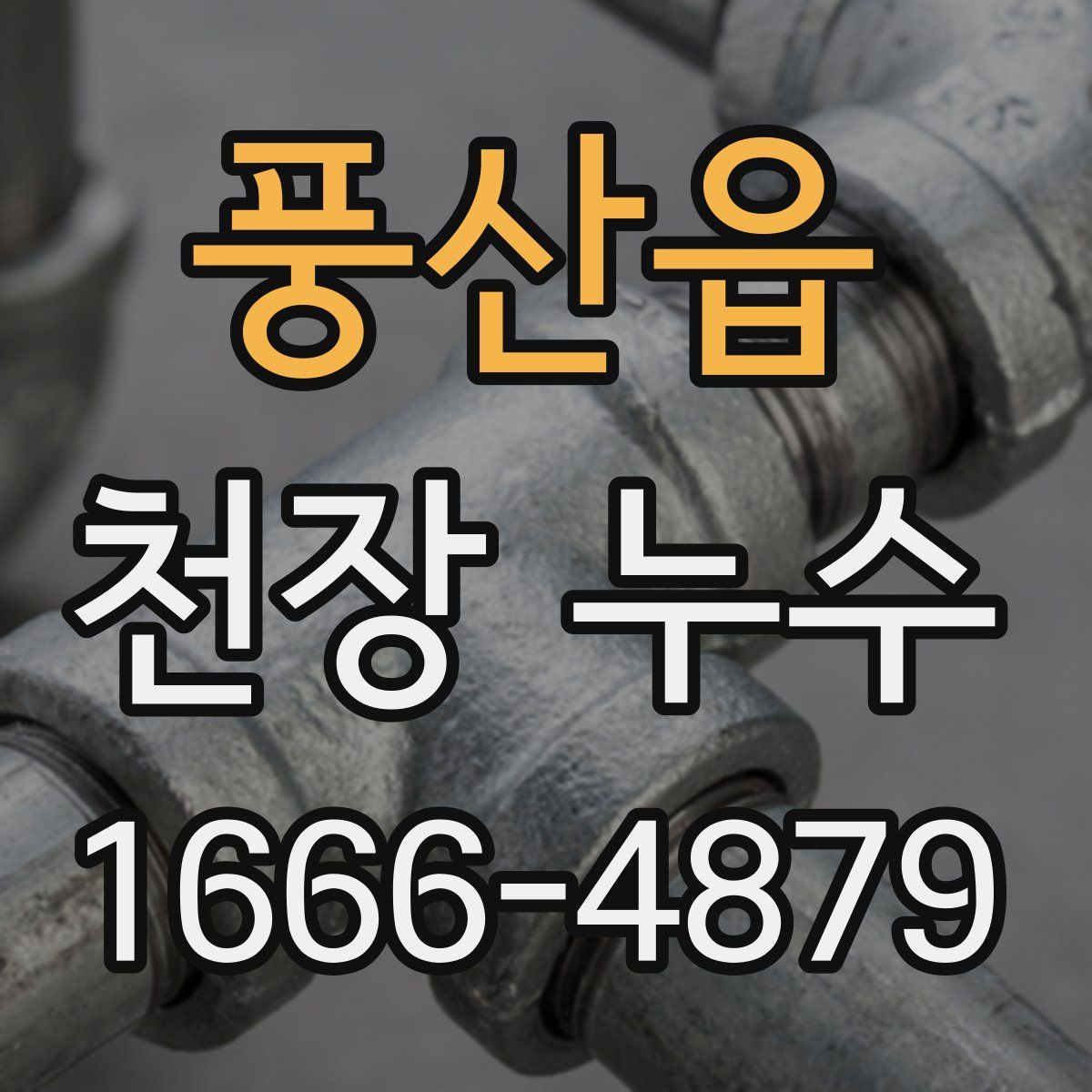 풍산읍 천장 누수