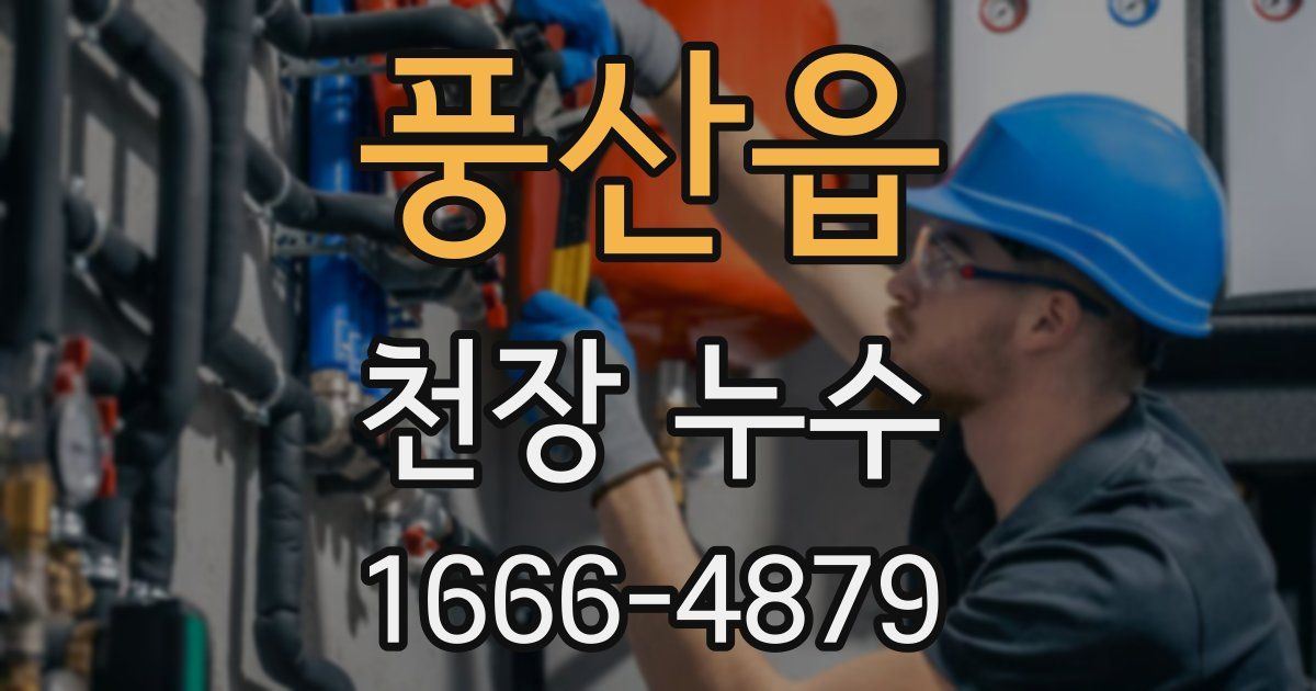 풍산읍 천장 누수