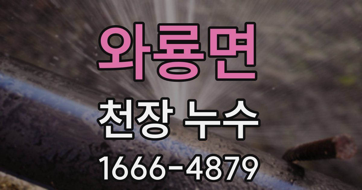 와룡면 천장 누수