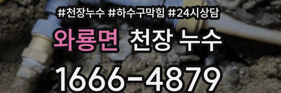와룡면 천장 누수