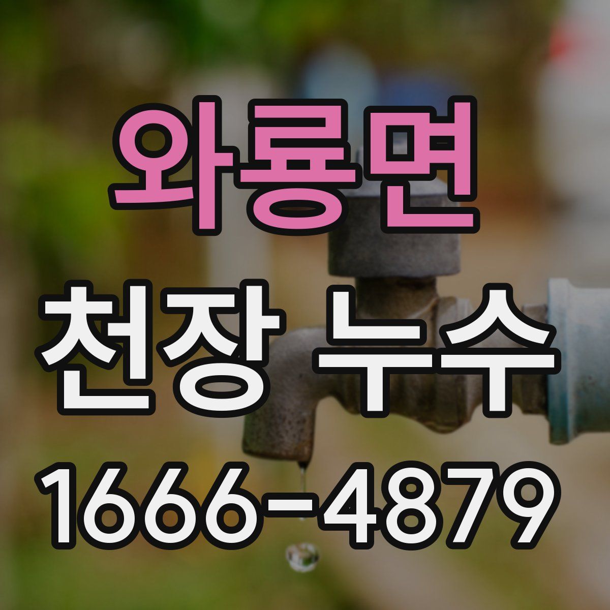 와룡면 천장 누수