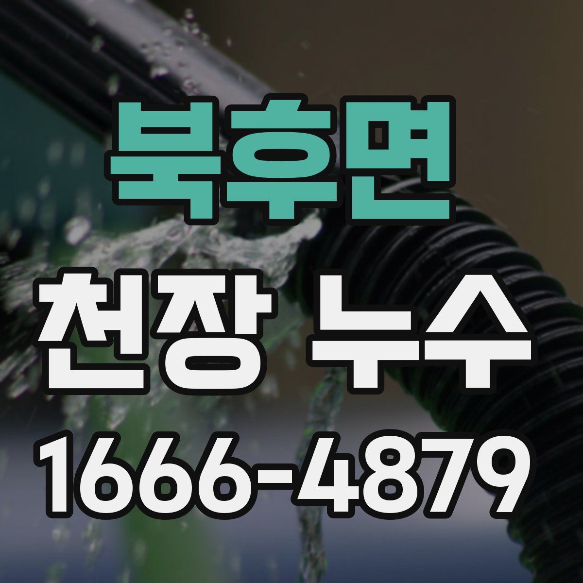 북후면 천장 누수