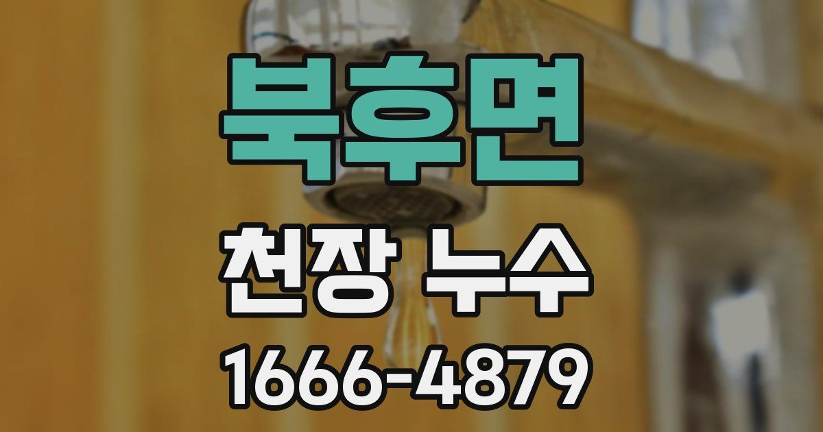 북후면 천장 누수