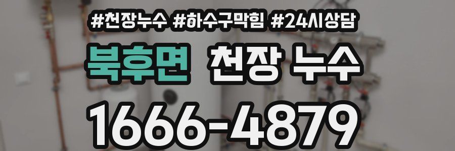 북후면 천장 누수