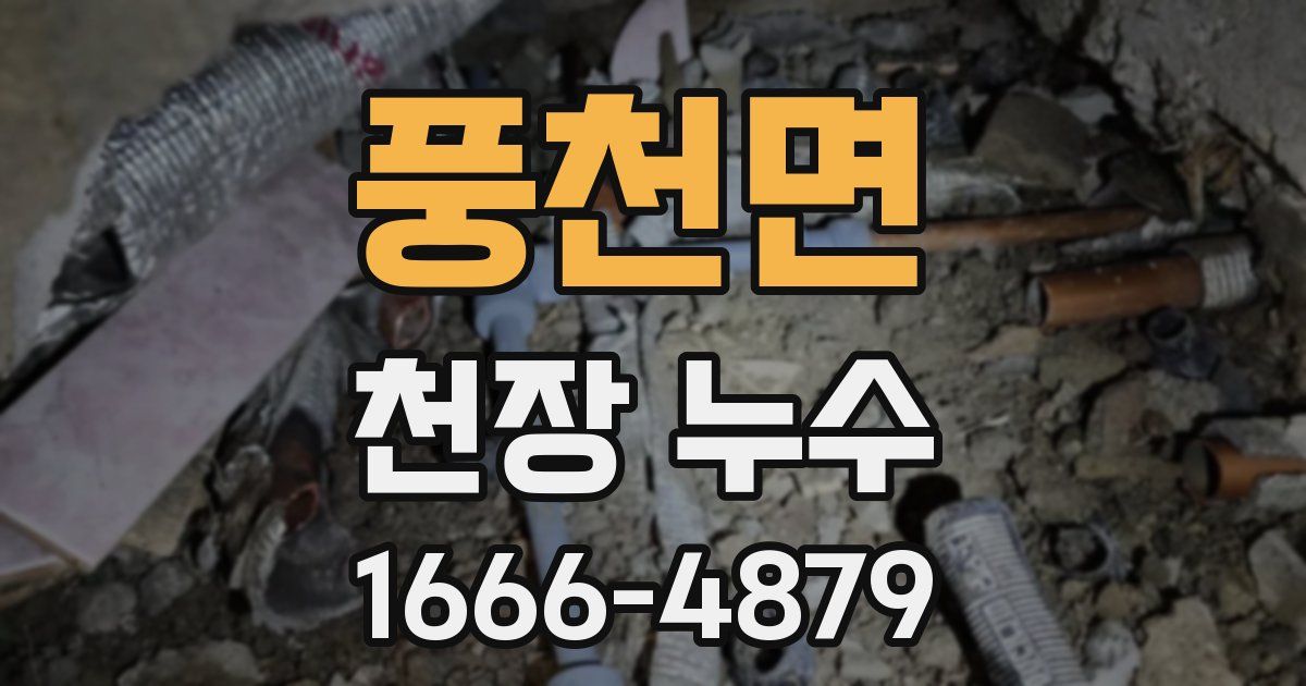 풍천면 천장 누수